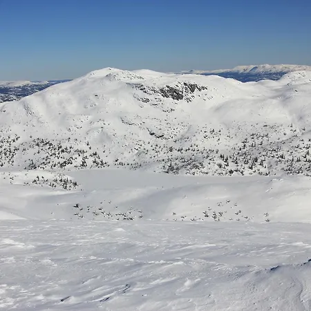 Kemp Suigard Veslestugo Sauland