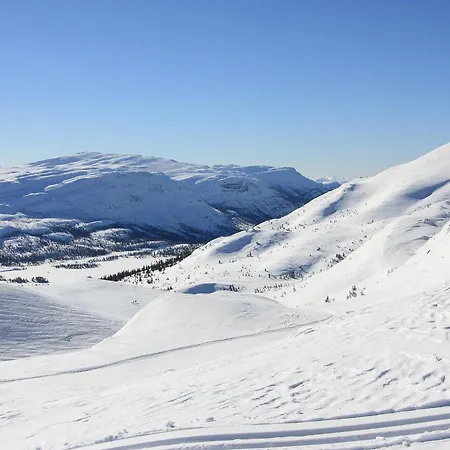 Suigard Veslestugo *