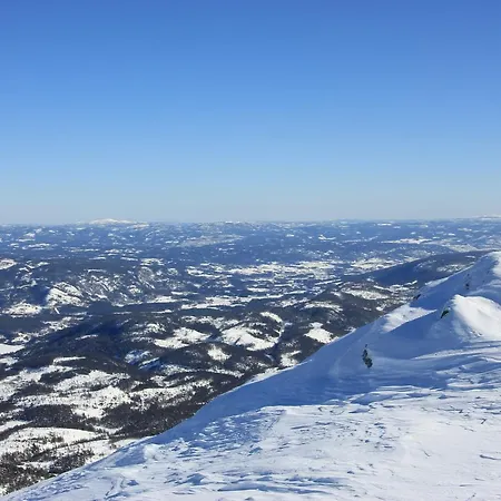 Kemp Suigard Veslestugo *