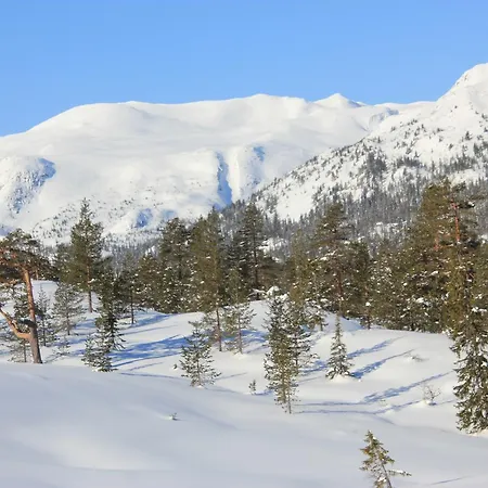 Suigard Veslestugo Sauland