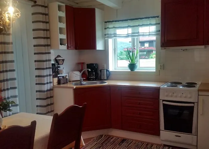 Suigard Veslestugo Sauland