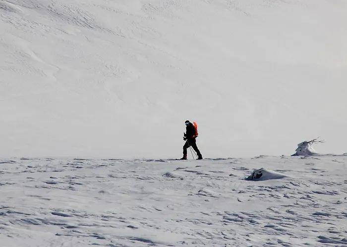 Suigard Veslestugo * Sauland