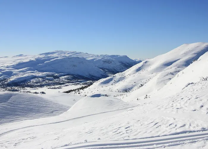 Suigard Veslestugo *