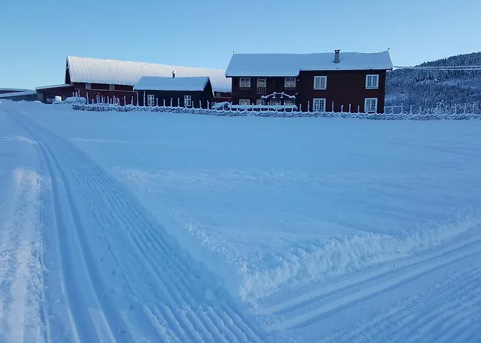 Suigard Veslestugo Sauland