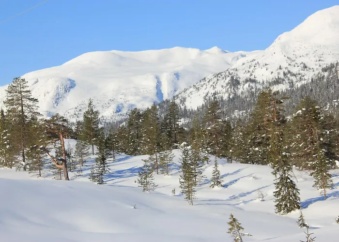 Suigard Veslestugo Sauland