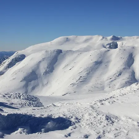 Suigard Veslestugo Sauland