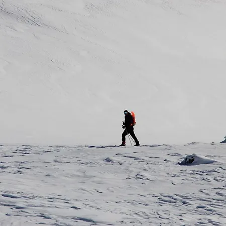 Suigard Veslestugo * Sauland