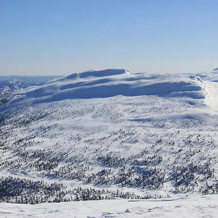 Suigard Veslestugo אתר קמפינג
